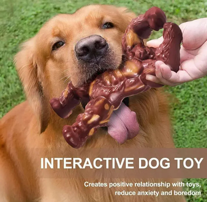 Dog Molar Nibbling Nylon Beef Flavor Toy